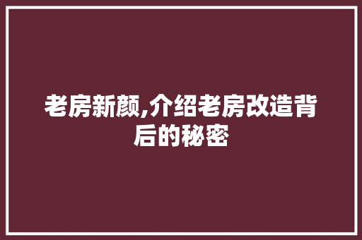 老房新颜,介绍老房改造背后的秘密
