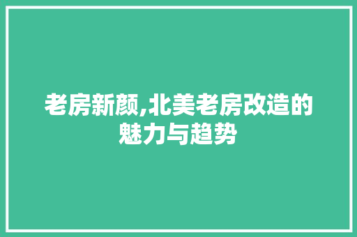 老房新颜,北美老房改造的魅力与趋势
