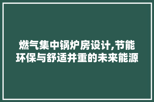 燃气集中锅炉房设计,节能环保与舒适并重的未来能源解决方法