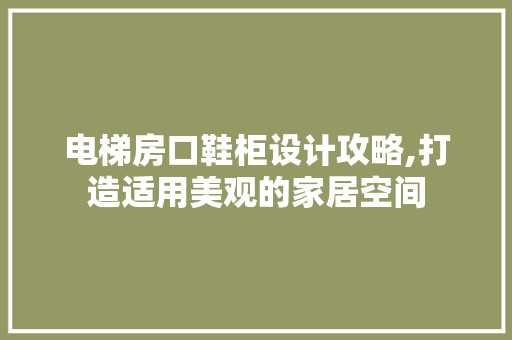 电梯房口鞋柜设计攻略,打造适用美观的家居空间