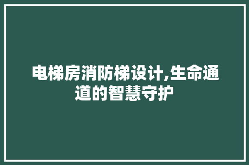 电梯房消防梯设计,生命通道的智慧守护