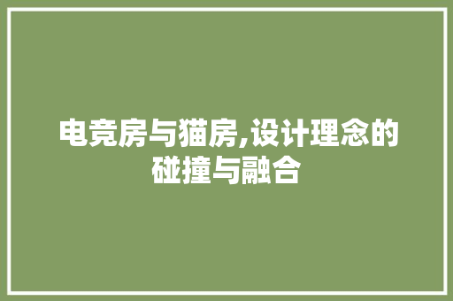 电竞房与猫房,设计理念的碰撞与融合