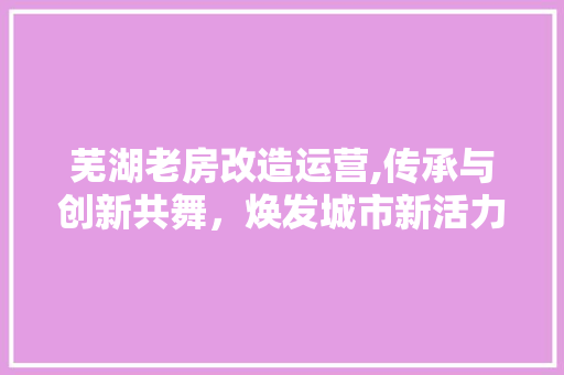 芜湖老房改造运营,传承与创新共舞，焕发城市新活力