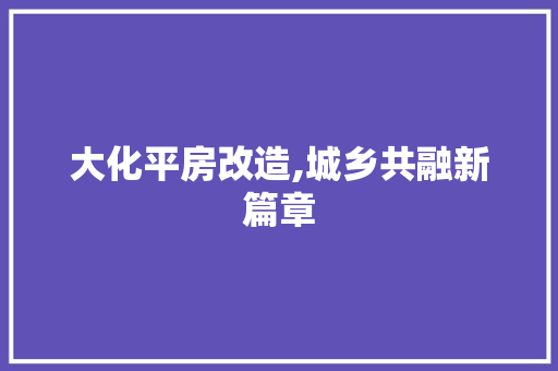 大化平房改造,城乡共融新篇章