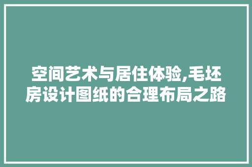 空间艺术与居住体验,毛坯房设计图纸的合理布局之路