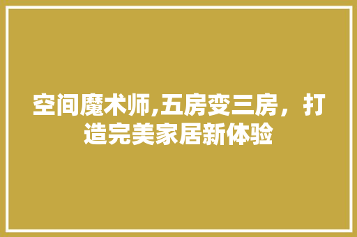 空间魔术师,五房变三房，打造完美家居新体验