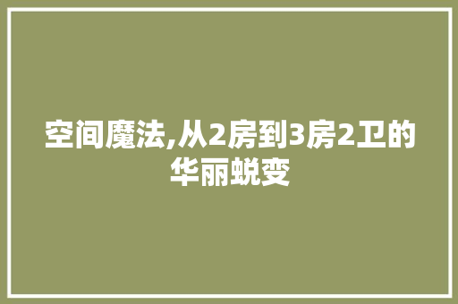 空间魔法,从2房到3房2卫的华丽蜕变