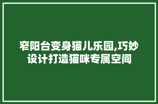 窄阳台变身猫儿乐园,巧妙设计打造猫咪专属空间
