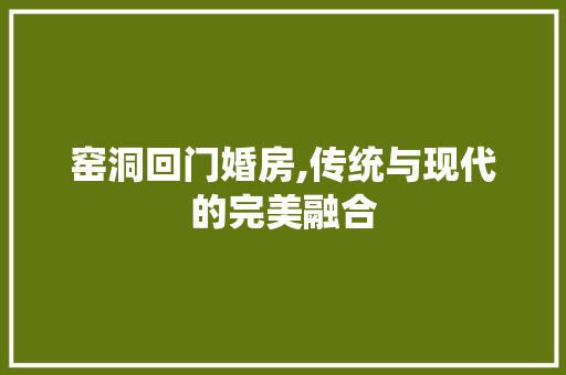 窑洞回门婚房,传统与现代的完美融合