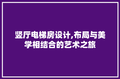 竖厅电梯房设计,布局与美学相结合的艺术之旅