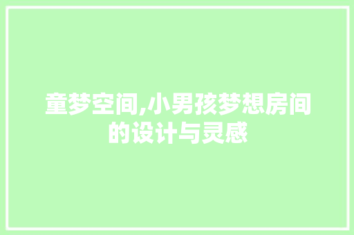 童梦空间,小男孩梦想房间的设计与灵感