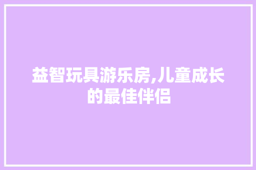 益智玩具游乐房,儿童成长的最佳伴侣