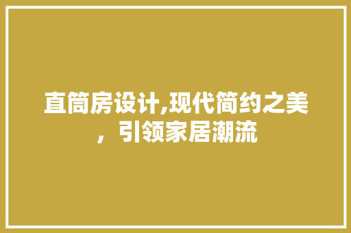 直筒房设计,现代简约之美，引领家居潮流