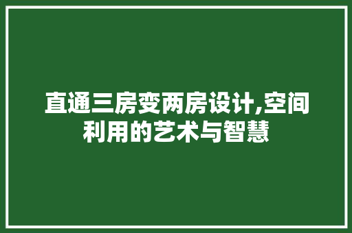 直通三房变两房设计,空间利用的艺术与智慧
