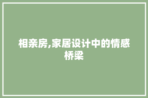 相亲房,家居设计中的情感桥梁