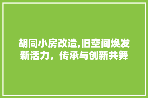 胡同小房改造,旧空间焕发新活力，传承与创新共舞