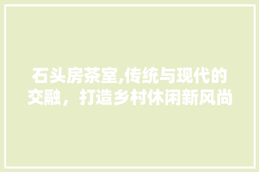 石头房茶室,传统与现代的交融，打造乡村休闲新风尚