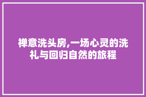 禅意洗头房,一场心灵的洗礼与回归自然的旅程