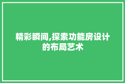 精彩瞬间,探索功能房设计的布局艺术