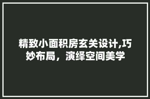 精致小面积房玄关设计,巧妙布局，演绎空间美学