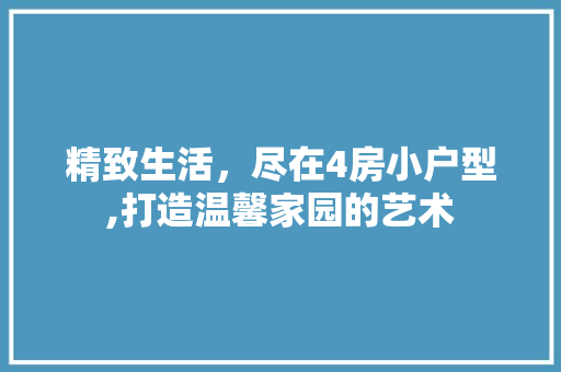 精致生活，尽在4房小户型,打造温馨家园的艺术