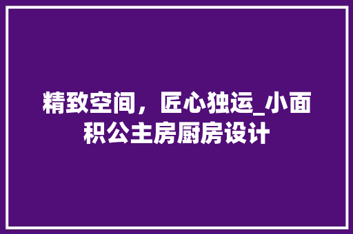 精致空间，匠心独运_小面积公主房厨房设计