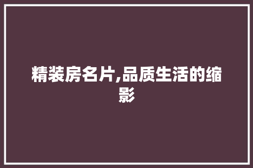 精装房名片,品质生活的缩影