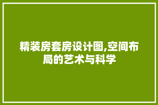 精装房套房设计图,空间布局的艺术与科学
