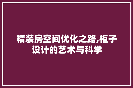 精装房空间优化之路,柜子设计的艺术与科学