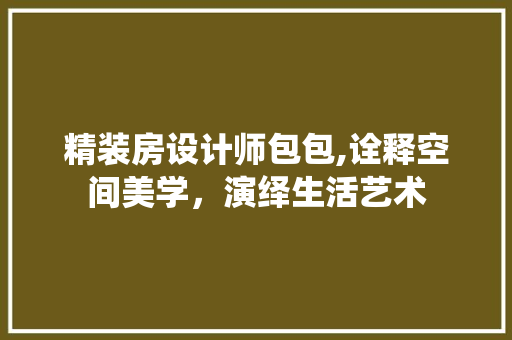 精装房设计师包包,诠释空间美学，演绎生活艺术