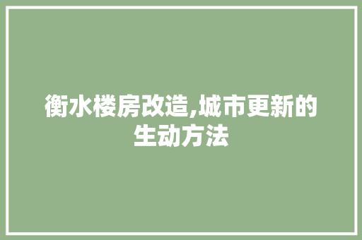 衡水楼房改造,城市更新的生动方法