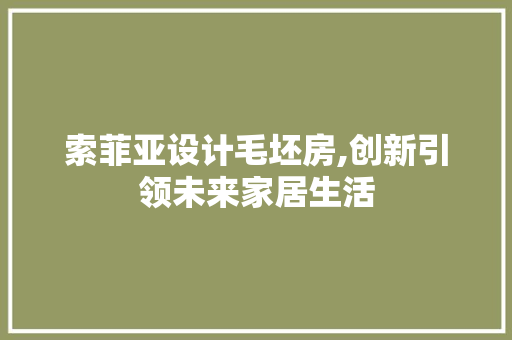 索菲亚设计毛坯房,创新引领未来家居生活