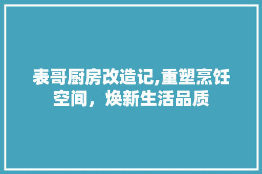 表哥厨房改造记,重塑烹饪空间，焕新生活品质