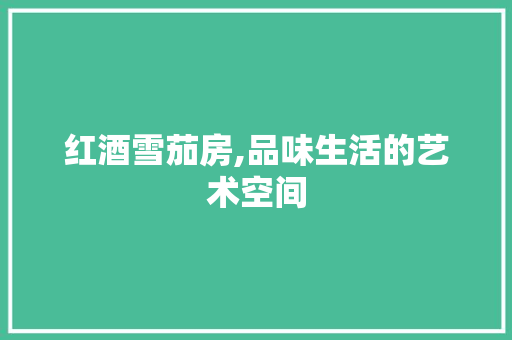 红酒雪茄房,品味生活的艺术空间