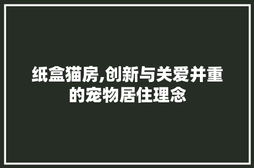 纸盒猫房,创新与关爱并重的宠物居住理念