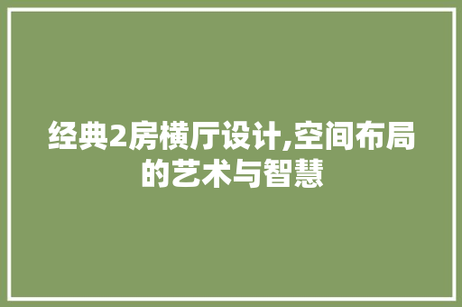 经典2房横厅设计,空间布局的艺术与智慧