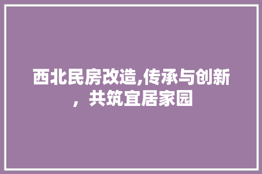 西北民房改造,传承与创新，共筑宜居家园