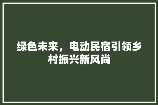 绿色未来，电动民宿引领乡村振兴新风尚