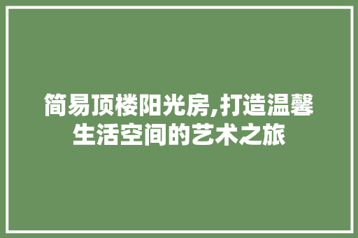 简易顶楼阳光房,打造温馨生活空间的艺术之旅