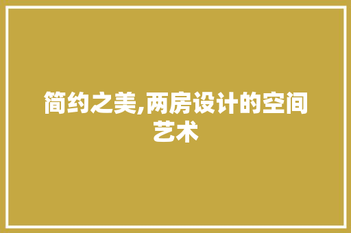 简约之美,两房设计的空间艺术