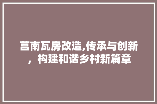 莒南瓦房改造,传承与创新，构建和谐乡村新篇章