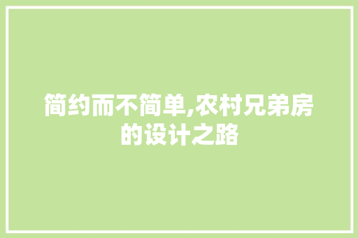 简约而不简单,农村兄弟房的设计之路