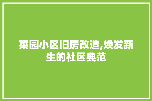 菜园小区旧房改造,焕发新生的社区典范