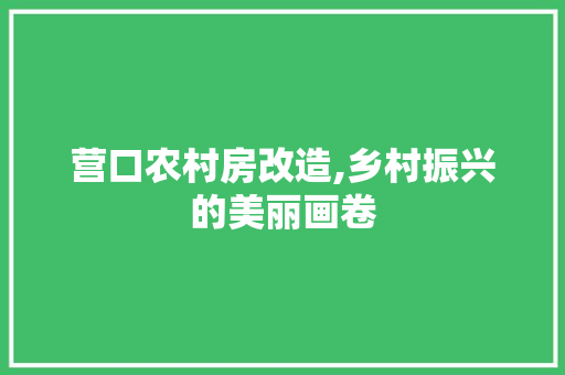 营口农村房改造,乡村振兴的美丽画卷