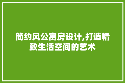 简约风公寓房设计,打造精致生活空间的艺术