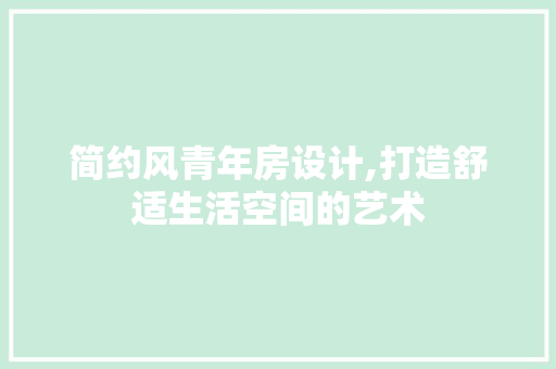 简约风青年房设计,打造舒适生活空间的艺术