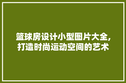 篮球房设计小型图片大全,打造时尚运动空间的艺术