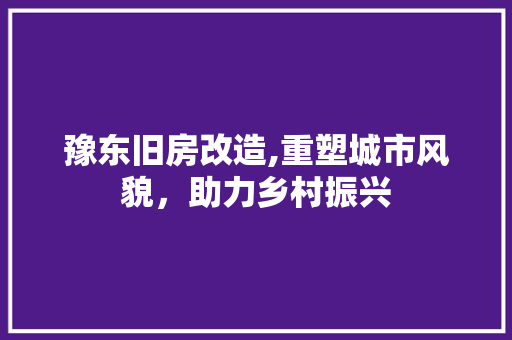豫东旧房改造,重塑城市风貌，助力乡村振兴