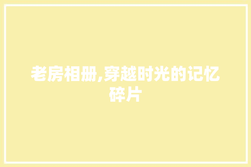 老房相册,穿越时光的记忆碎片