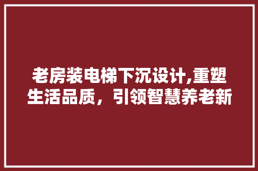 老房装电梯下沉设计,重塑生活品质，引领智慧养老新潮流